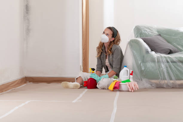 Reliable Black Mold Removal contractor in Sherwood, MD by WQB Mold Removal